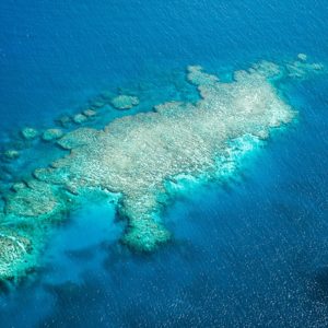 fiji laucala island resort